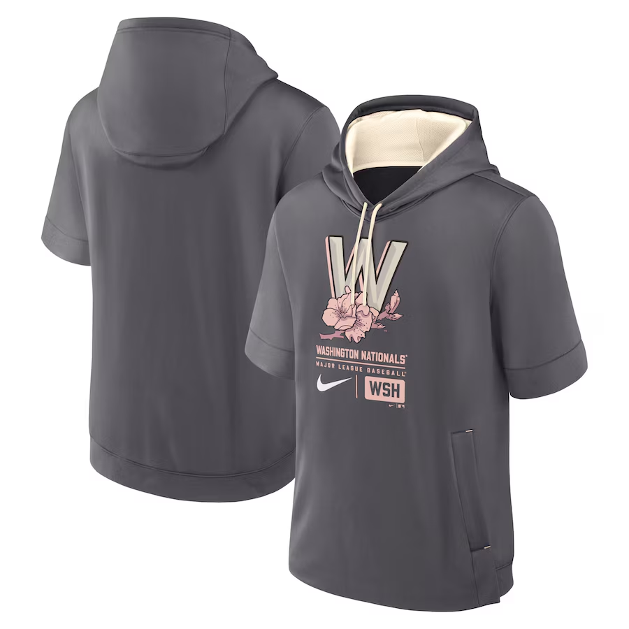 Men MLB Washington Nationals grey 2024 Nike hoodie->more jerseys->NBA Jersey